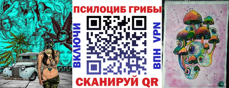 MEGA ссылка  купить наркоту  Белоусово  Псилоцибиновые грибы Cubensis 